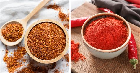 differences in chili powders